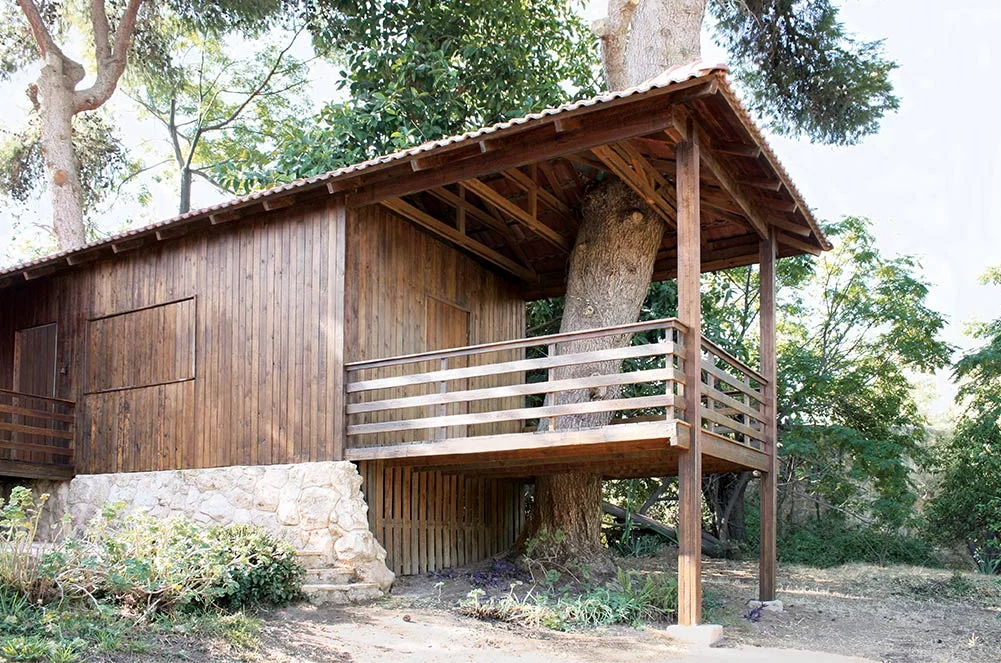 Golany Architects домик на дереве